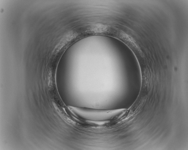 X0000059800212200510211100