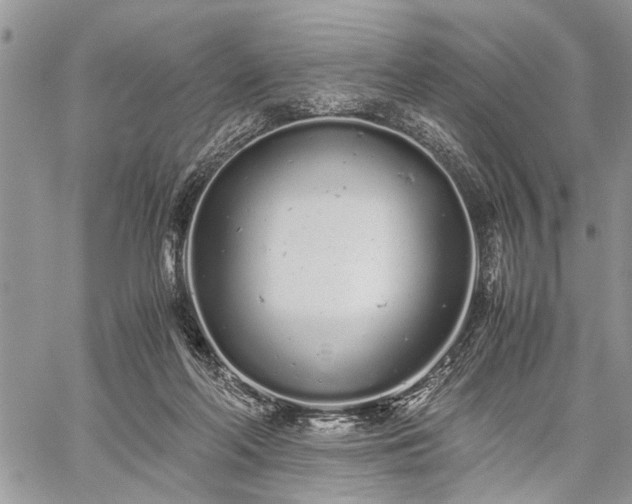 X0000059800214200510211100