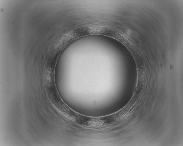 X0000059800215200510211100