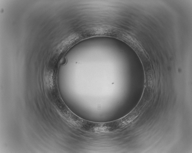 X0000059800216200510211100