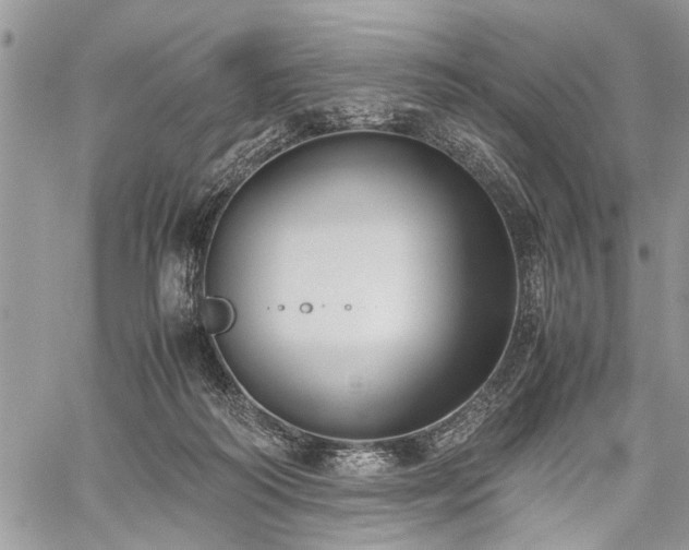 X0000059800218200510211100