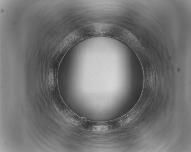 X0000059800220200510211100