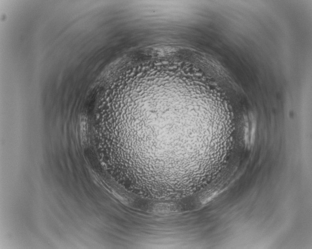 X0000059800222200510211100