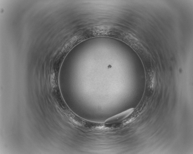 X0000059800224200510211100