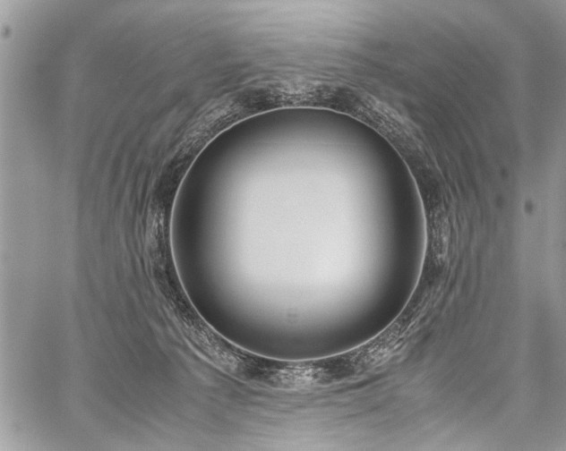 X0000059800225200510211100