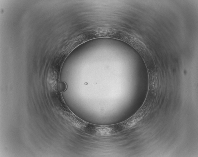 X0000059800226200510211100