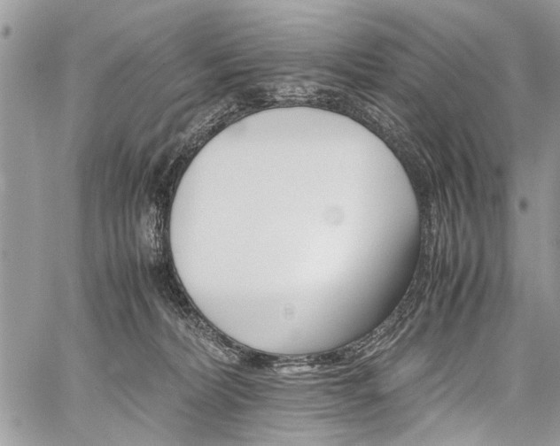 X0000059800228200510211100