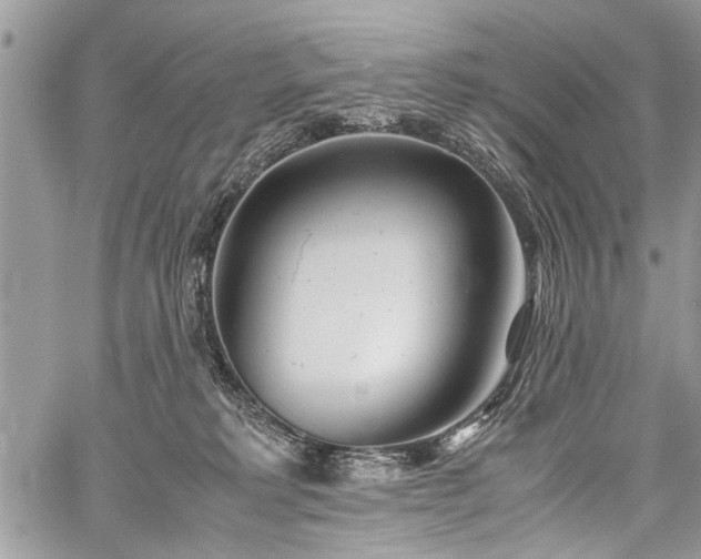 X0000059800229200510211100