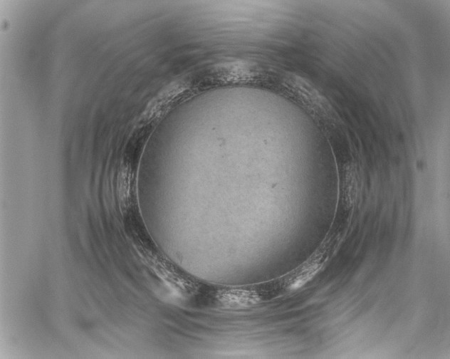 X0000059800230200510211059