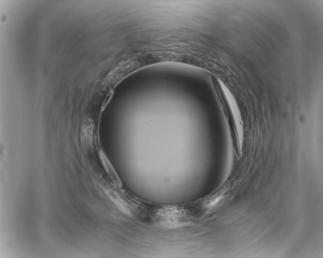 X0000059800231200510211059