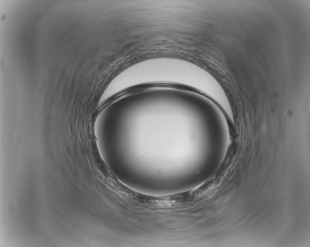 X0000059800233200510211059