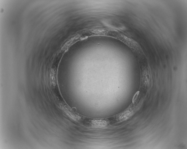 X0000059800234200510211059