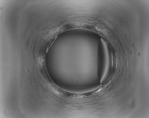 X0000059800235200510211059