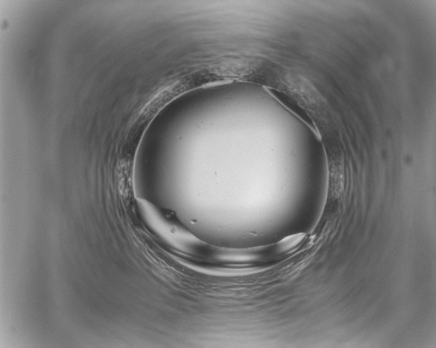 X0000059800237200510211059