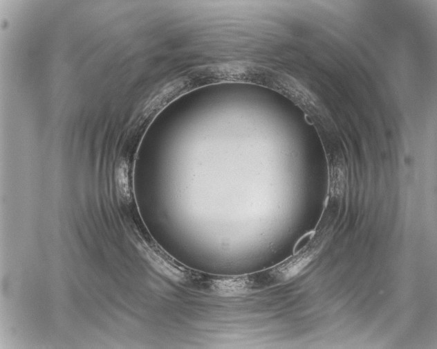 X0000059800238200510211059