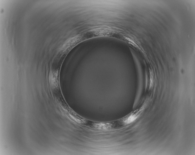 X0000059800239200510211059