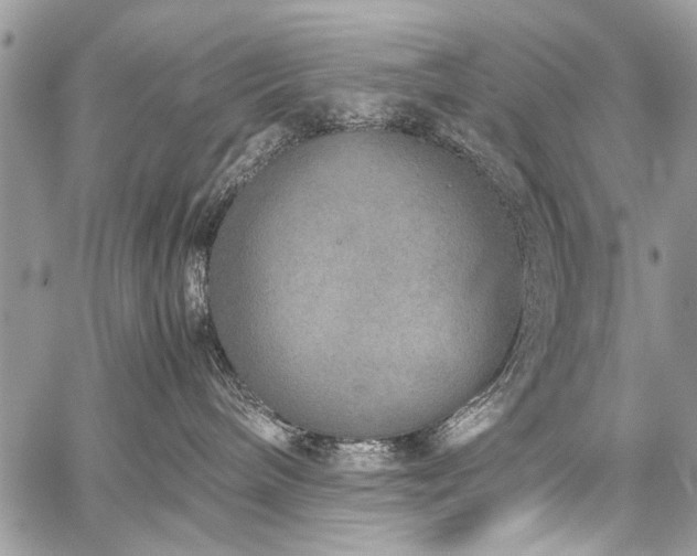 X0000059800240200510211059