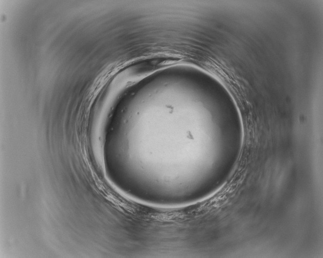 X0000059800241200510211059