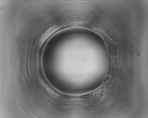 X0000059800242200510211059