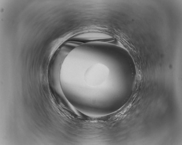 X0000059800244200510211059