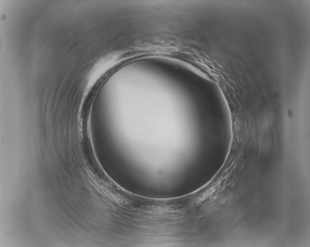 X0000059800246200510211059