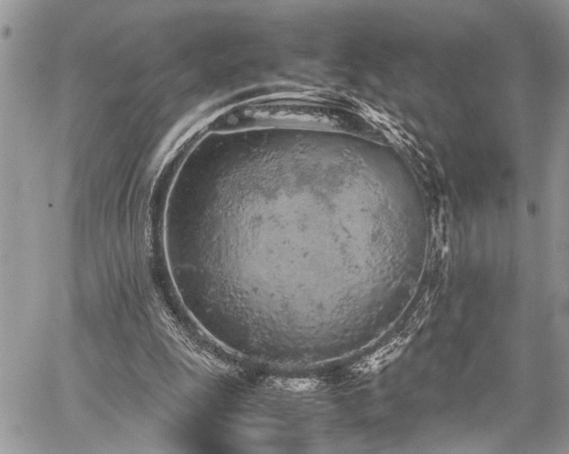 X0000059800247200510211059