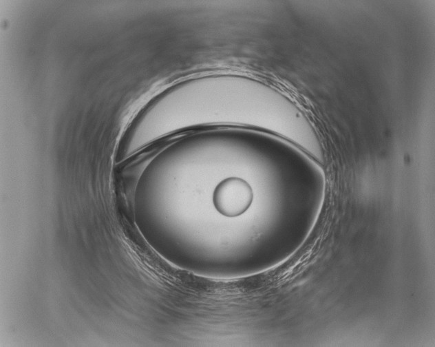 X0000059800248200510211059