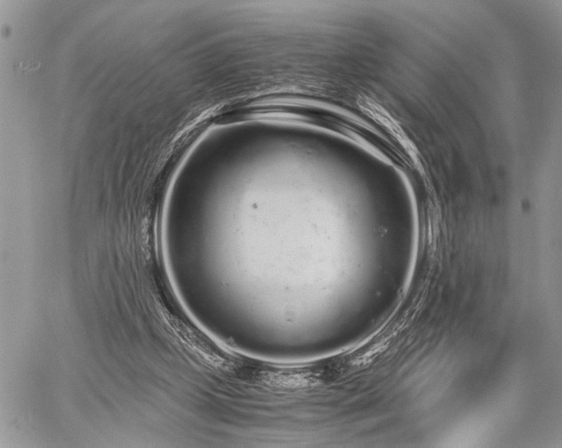 X0000059800249200510211059