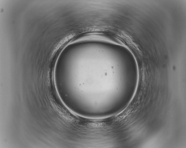 X0000059800250200510211059