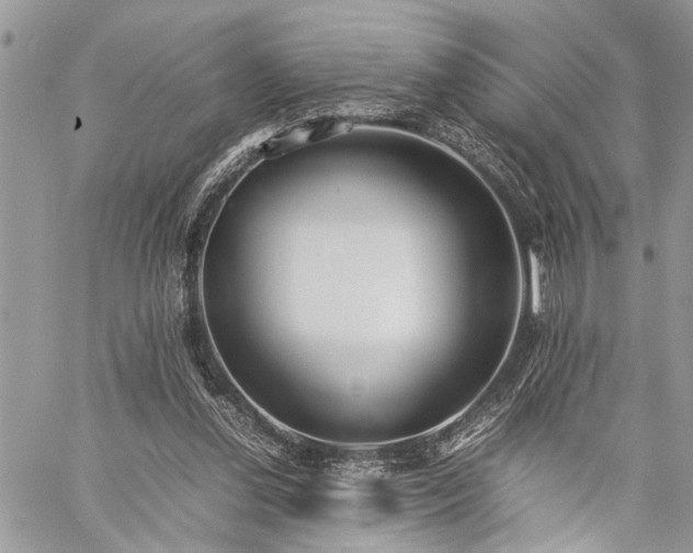 X0000059800252200510211059