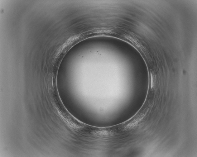 X0000059800253200510211059