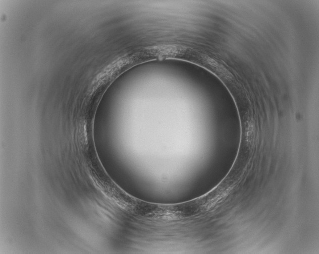 X0000059800254200510211059