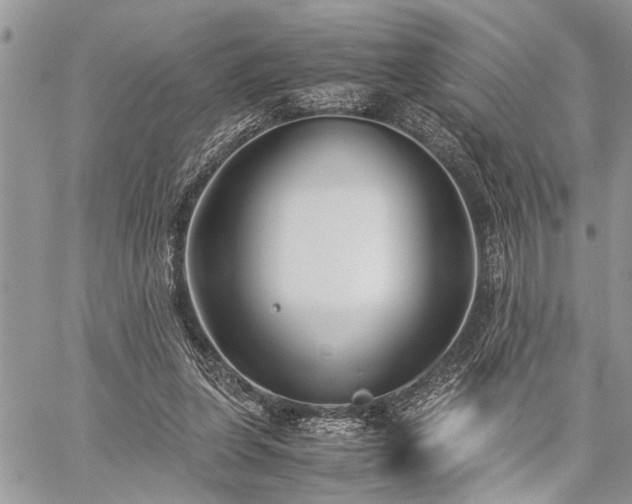 X0000059800255200510211059