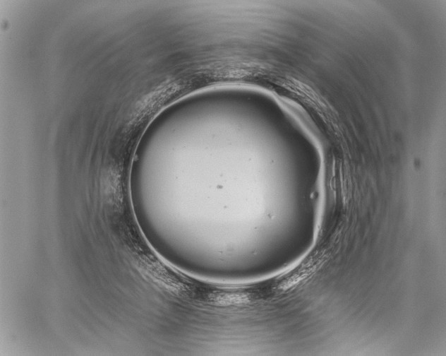 X0000059800258200510211059