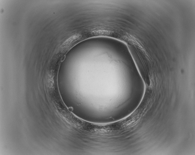 X0000059800259200510211059