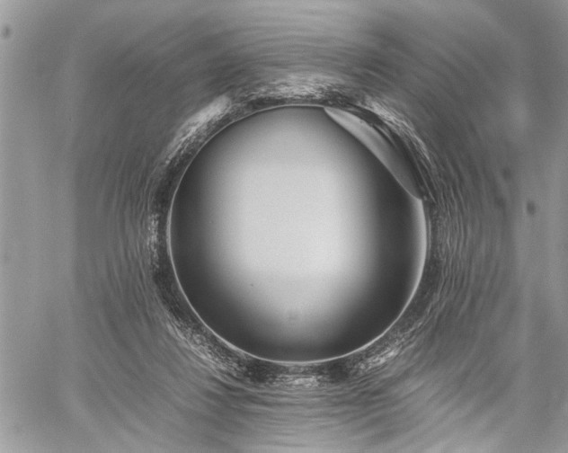 X0000059800260200510211059