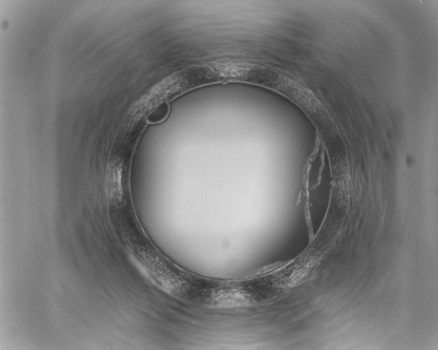 X0000059800262200510211059