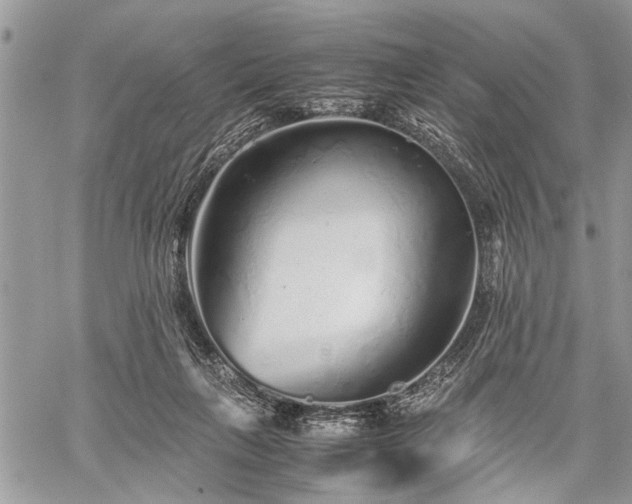 X0000059800263200510211059