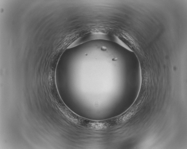 X0000059800265200510211059