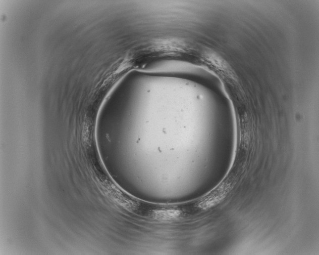 X0000059800266200510211059