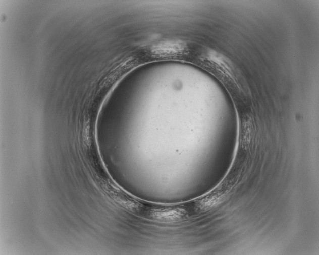 X0000059800267200510211059