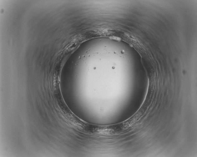 X0000059800268200510211059