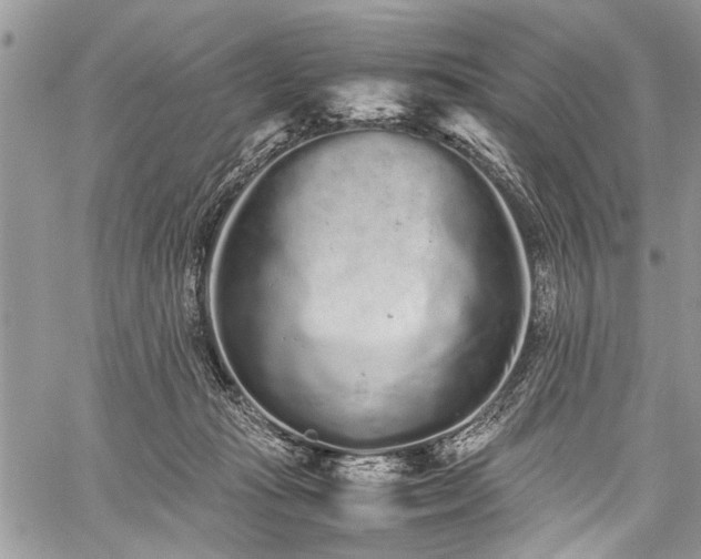 X0000059800269200510211059