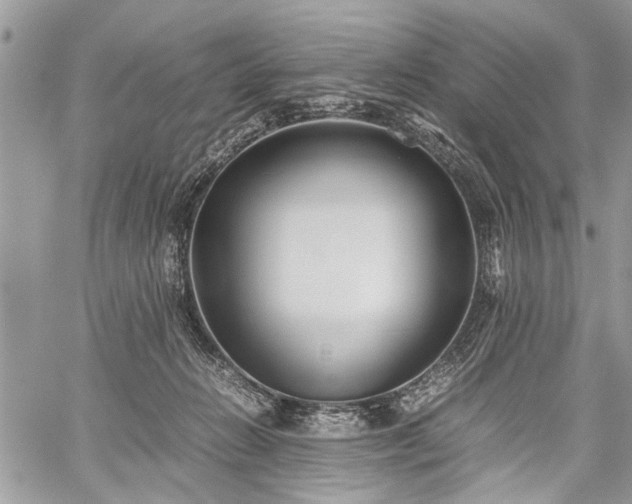 X0000059800270200510211059