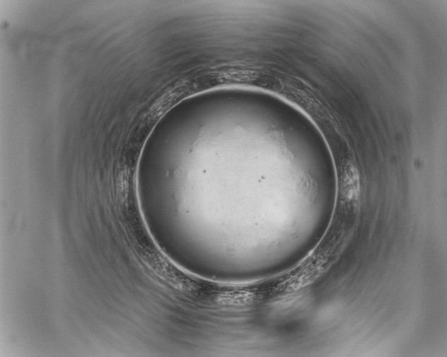 X0000059800271200510211059