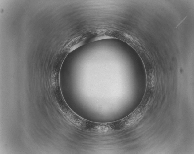 X0000059800272200510211059