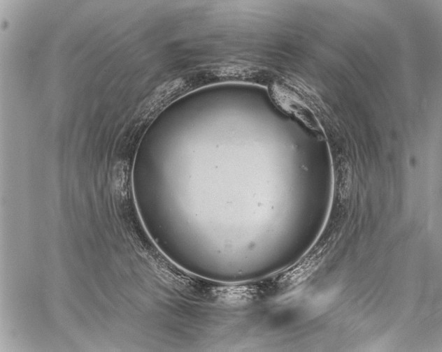 X0000059800273200510211059