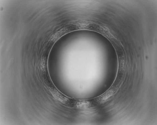 X0000059800274200510211059