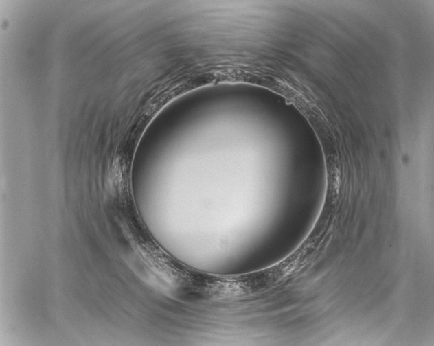 X0000059800276200510211059