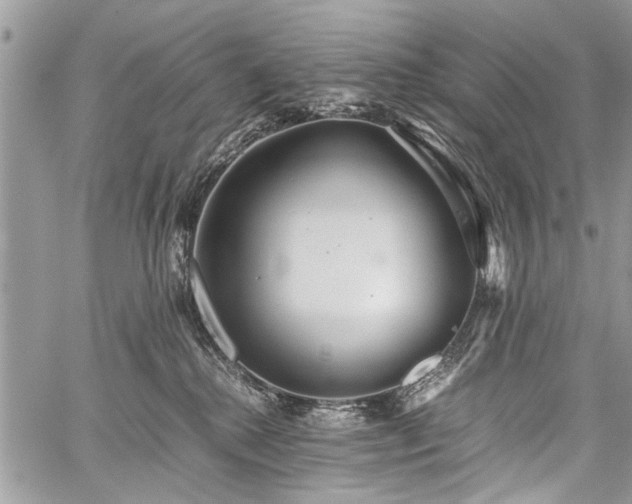 X0000059800280200510211059